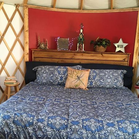 Mountain Springs Cabins 캔들러 외부 사진