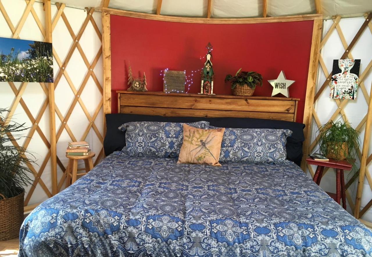 Mountain Springs Cabins 캔들러 외부 사진