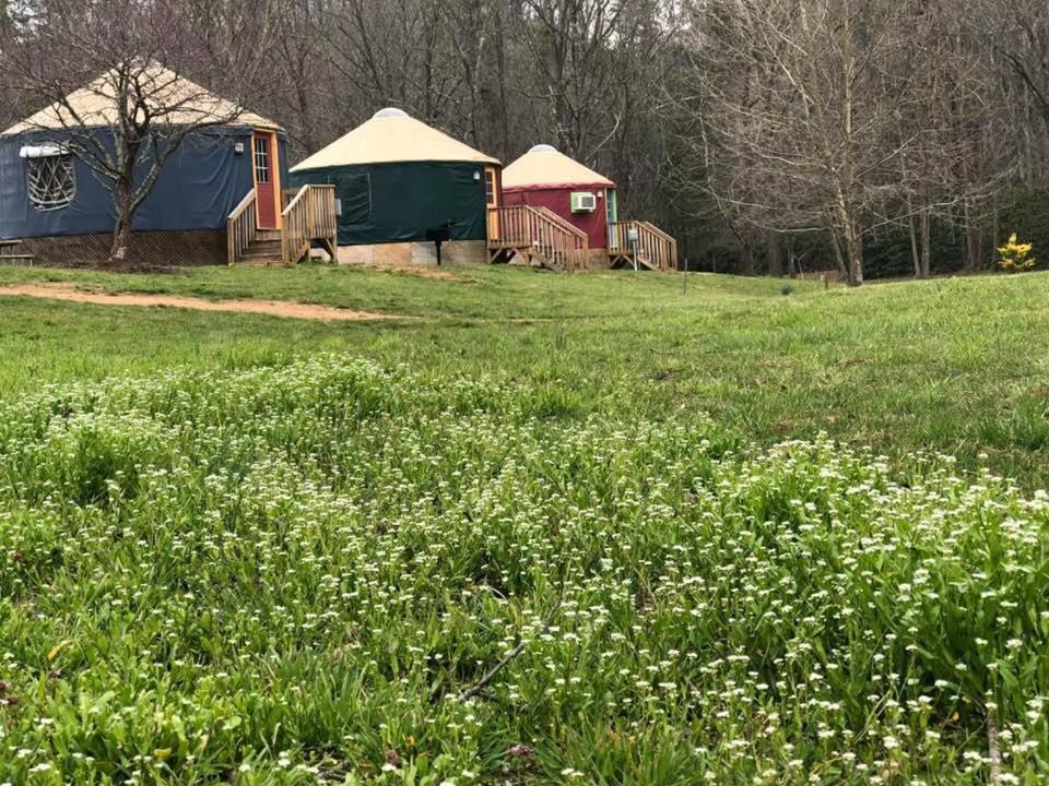 Mountain Springs Cabins 캔들러 외부 사진