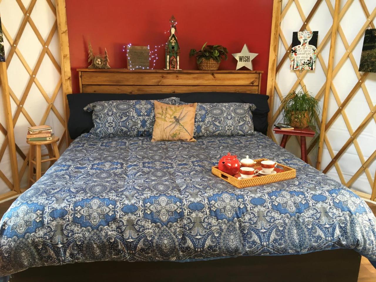 Mountain Springs Cabins 캔들러 외부 사진