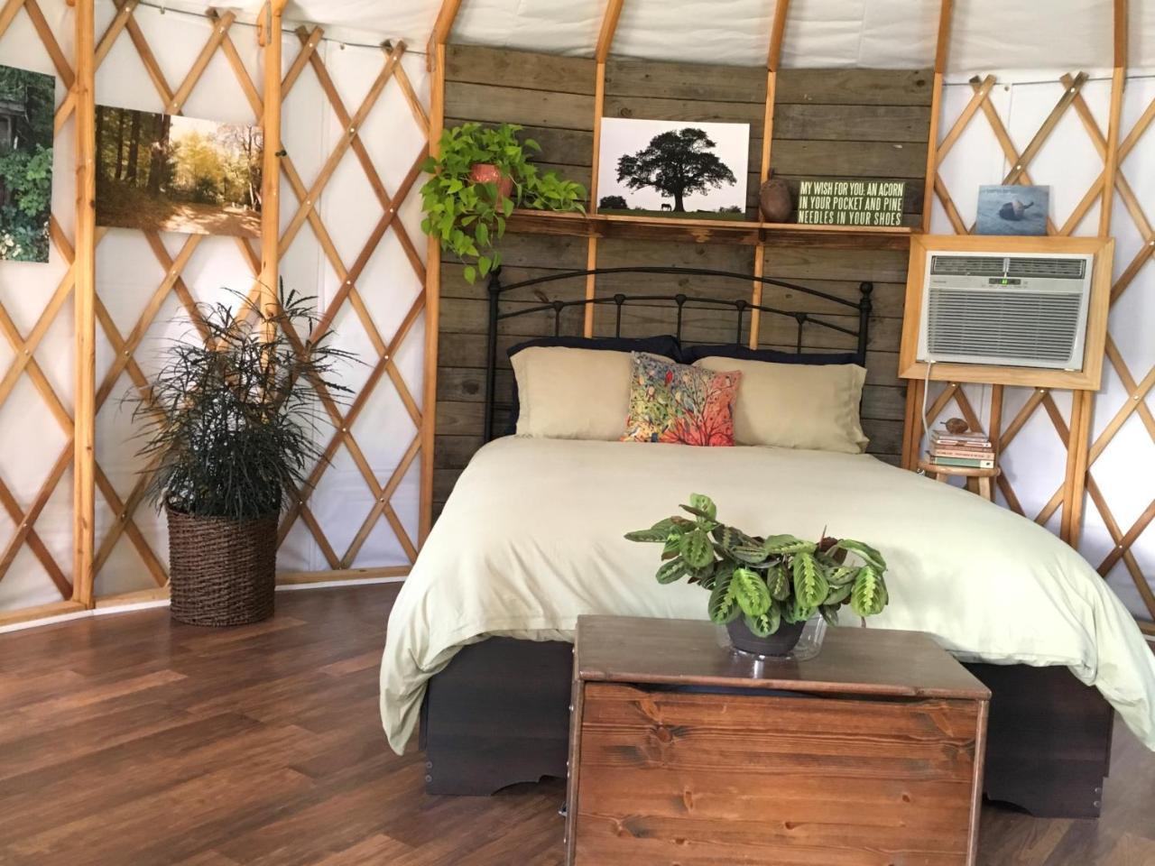 Mountain Springs Cabins 캔들러 외부 사진